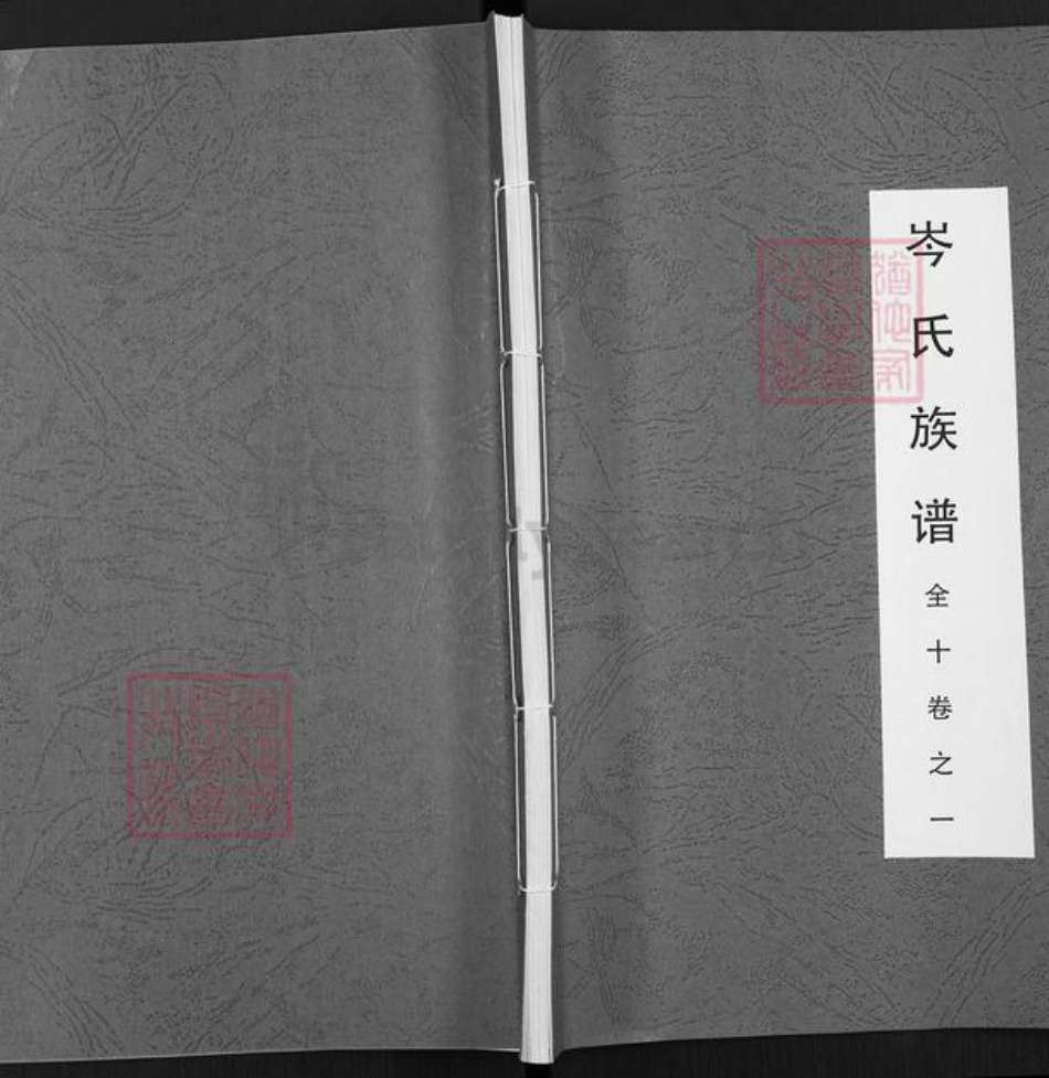 广西壮族自治区岑氏族谱-岑氏族谱.pdf电子版插图
