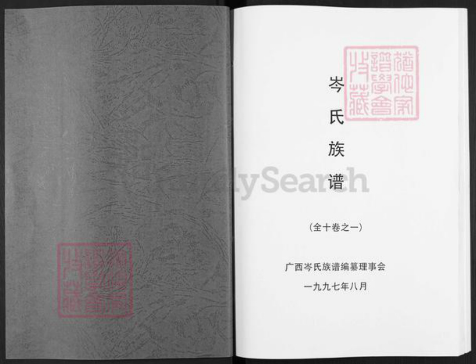 广西壮族自治区岑氏族谱-岑氏族谱.pdf电子版插图1