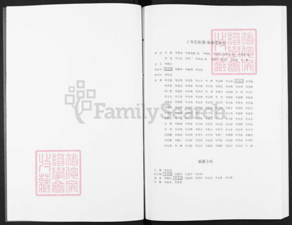 广西壮族自治区岑氏族谱-岑氏族谱.pdf电子版插图3