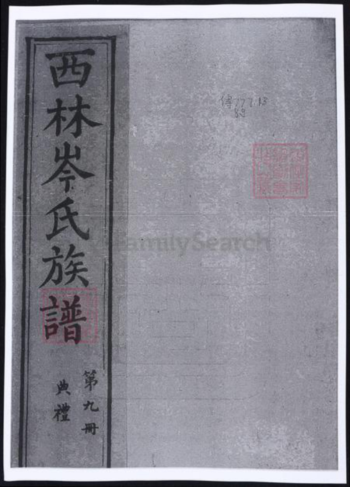 广西壮族自治区百色市隆林各族自治县岑氏族谱-广西西林岑氏族谱.pdf电子版插图
