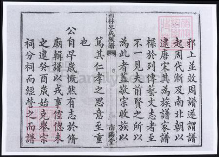 广西壮族自治区百色市隆林各族自治县岑氏族谱-广西西林岑氏族谱.pdf电子版插图3