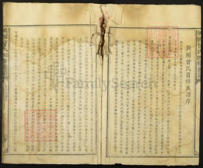 江西省赣州市兴国县方太乡曾氏族谱-兴国曾氏四修族谱.pdf电子版插图4