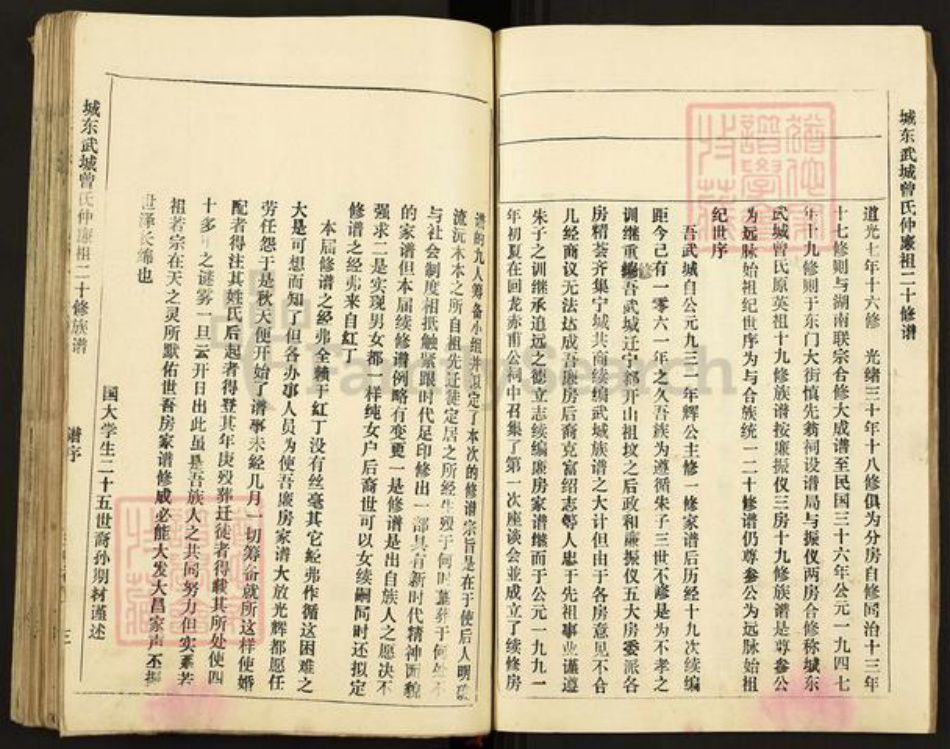 江西省赣州市南康区东山街道曾氏族谱-城东武城曾氏仲廉二十修族谱.pdf电子版插图4