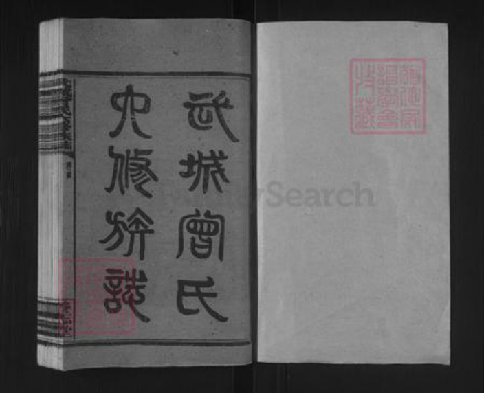 湖南省邵阳市邵东曾氏养志堂族谱-武城曾氏六修族志.pdf电子版插图1