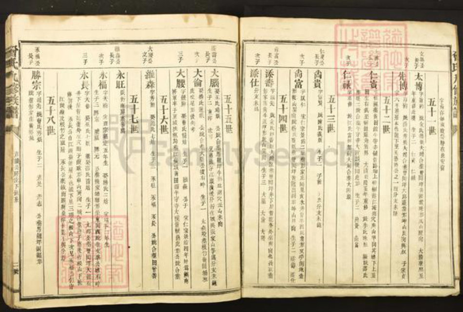 福建省三明市宁化县曾氏族谱-曾氏九修族谱.pdf电子版插图2