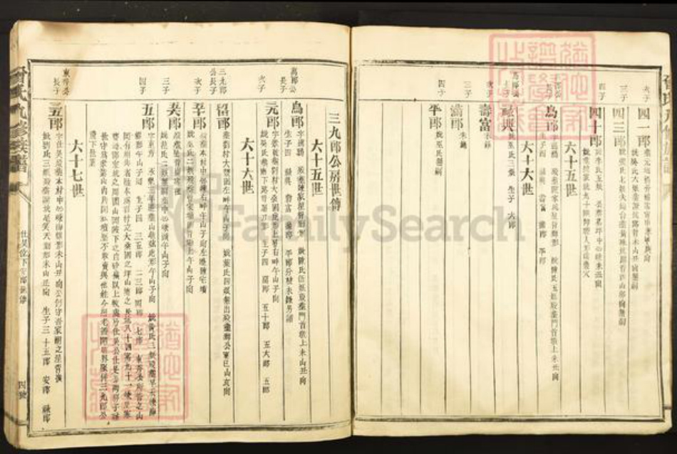 福建省三明市宁化县曾氏族谱-曾氏九修族谱.pdf电子版插图4