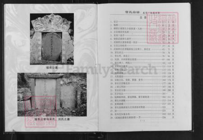 江西省吉安市永丰县曾氏族谱-中国武城,赣鄂区域县市.曾氏合修族谱.pdf电子版插图1