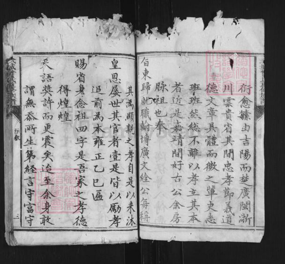 山东省德州市武城县曾氏族谱-武城曾氏重修族谱.pdf电子版插图3