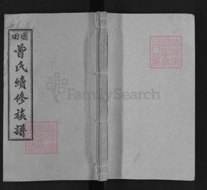 湖南省湘潭市湘乡市金石镇曾氏武城堂族谱-团田曾氏续修族谱.pdf电子版