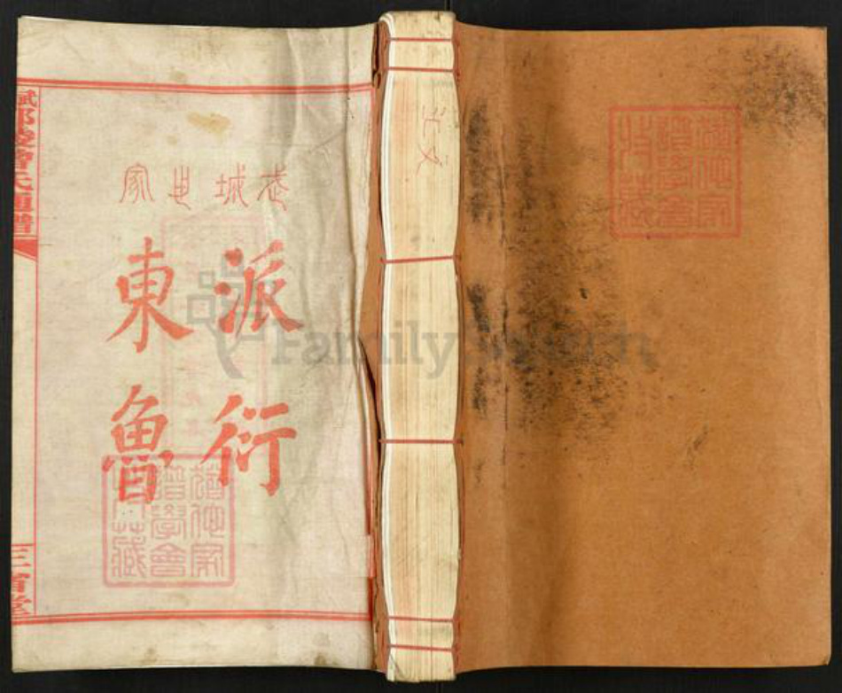 湖南省邵阳市邵东市杨桥镇曾氏三省堂族谱-武城邵陵曾氏通谱.pdf电子版插图