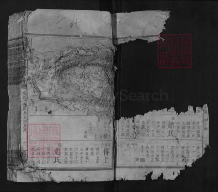 湖南省邵阳市曾氏族谱-武城曾氏四续族谱.pdf电子版插图2