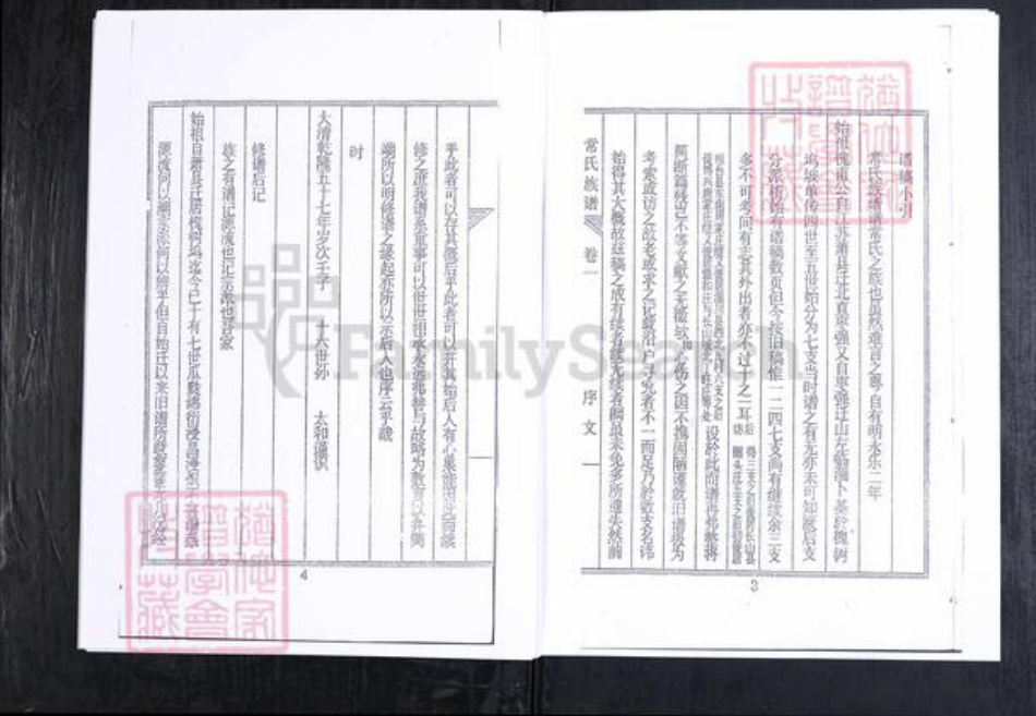 山东省淄博市常氏族谱-常氏族谱.山东临淄槐坞[6卷].pdf电子版插图4