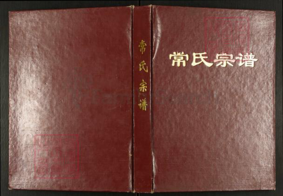 江苏省盐城市阜宁县东沟镇常氏族谱-江苏阜宁常氏宗谱.pdf电子版插图