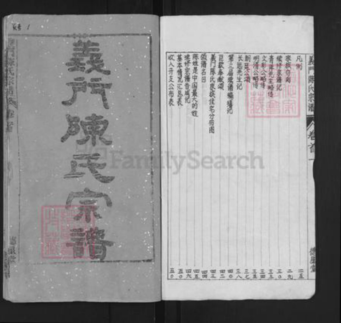 湖北省武汉市新洲区陈氏德星堂族谱-义门陈氏宗谱.pdf电子版插图2