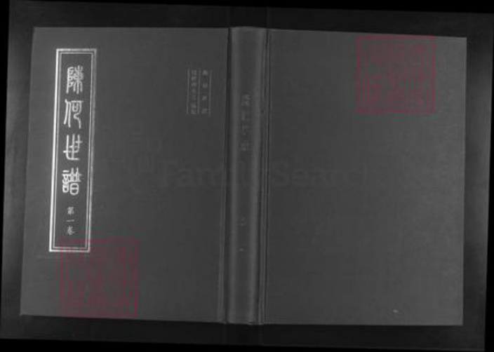 山东省淄博市桓台县新城镇陈氏族谱-陈何世谱.pdf电子版插图