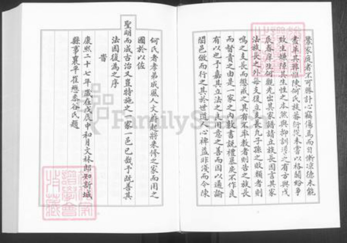 山东省淄博市桓台县新城镇陈氏族谱-陈何世谱.pdf电子版插图5