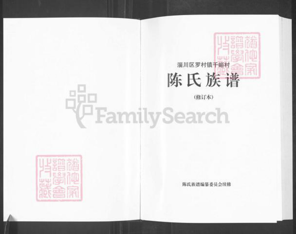 山东省淄博市淄川区陈氏颍川堂族谱-盐城陈氏宗谱.pdf电子版插图1