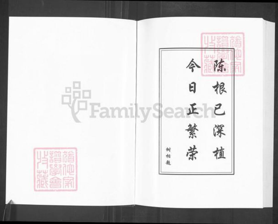 山东省淄博市淄川区陈氏颍川堂族谱-盐城陈氏宗谱.pdf电子版插图4