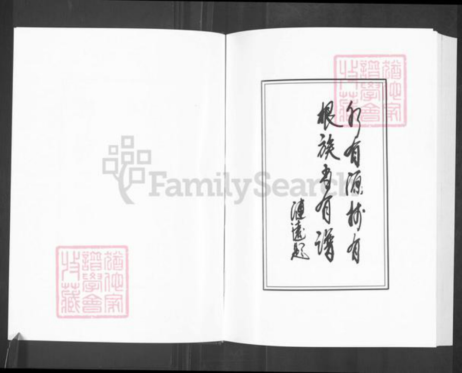 山东省淄博市淄川区陈氏颍川堂族谱-盐城陈氏宗谱.pdf电子版插图5
