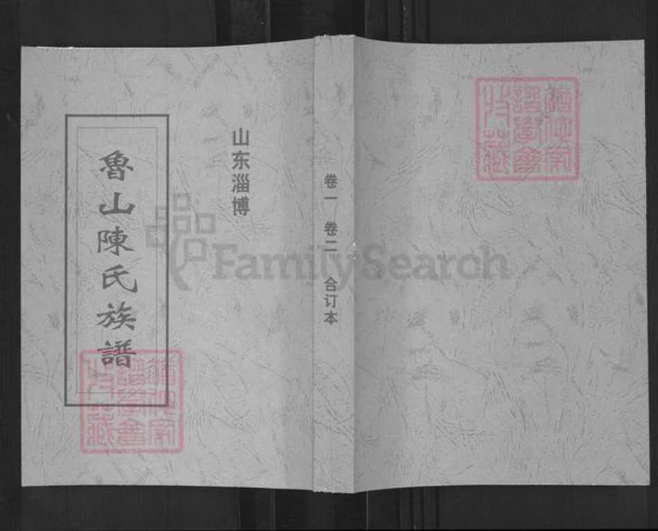 山东省淄博市淄川区陈氏族谱-山东淄博鲁山陈氏族谱.pdf电子版插图