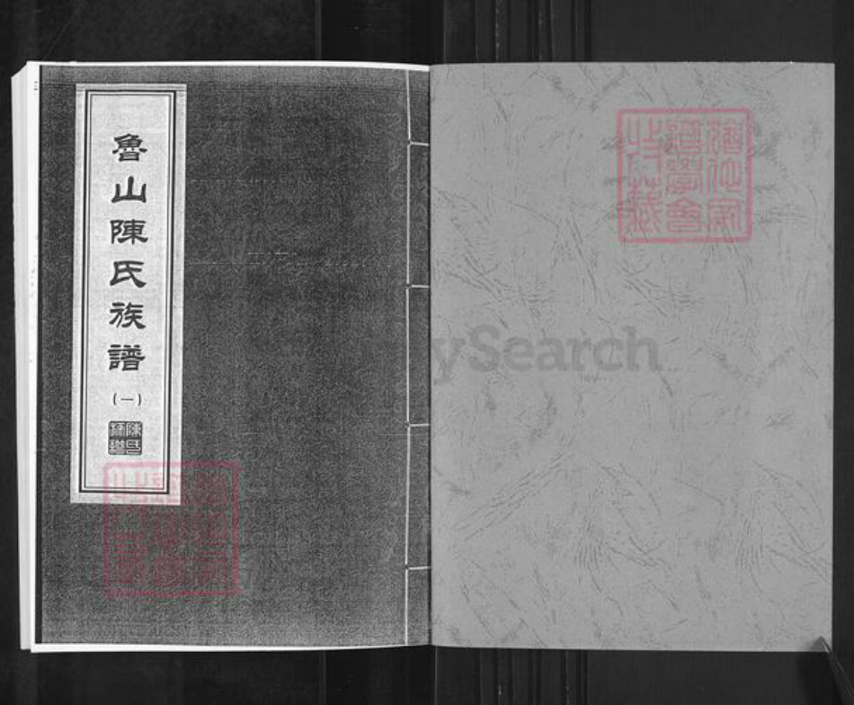 山东省淄博市淄川区陈氏族谱-山东淄博鲁山陈氏族谱.pdf电子版插图1