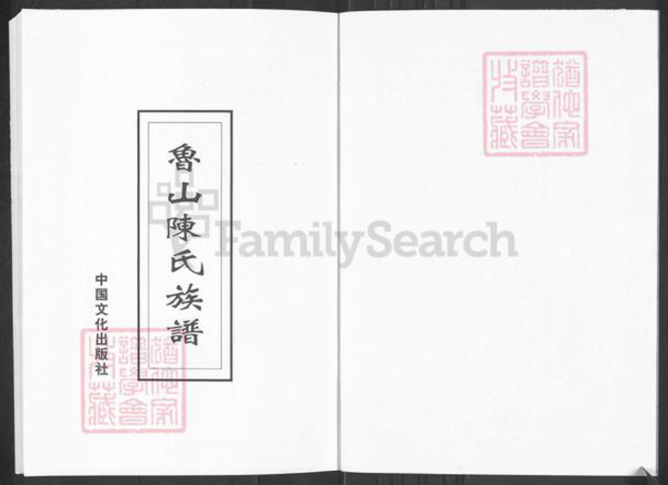 山东省淄博市淄川区陈氏族谱-山东淄博鲁山陈氏族谱.pdf电子版插图2
