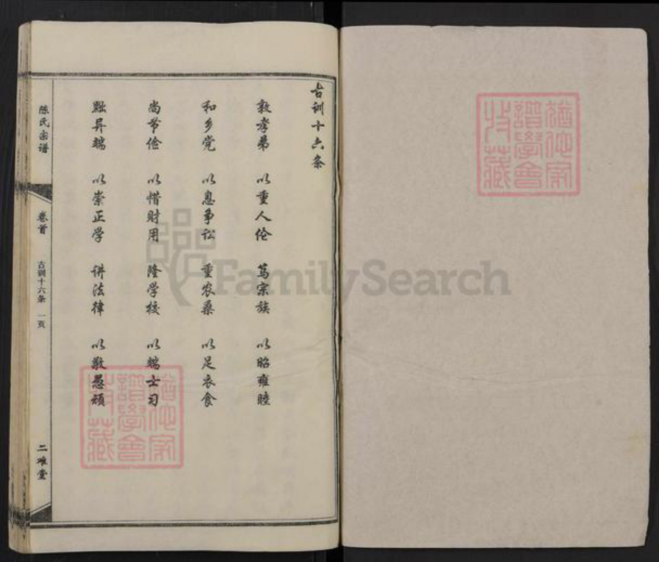 湖北省黄冈市红安县陈氏二难堂族谱-陈氏宗谱.pdf电子版插图1