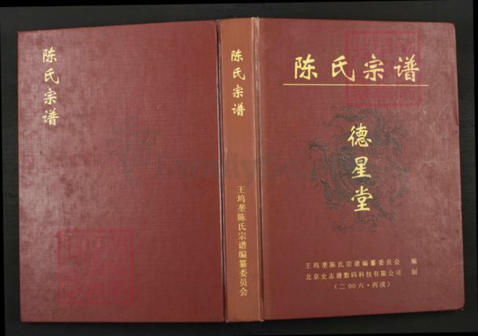 江西省上饶市广丰区沙田镇陈氏德星堂族谱-陈氏宗谱.pdf电子版插图