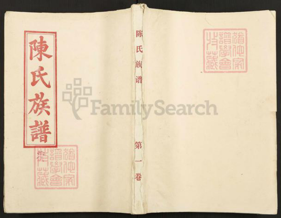 湖南省郴州市永兴县陈氏颖川堂族谱-陈氏族谱.pdf电子版