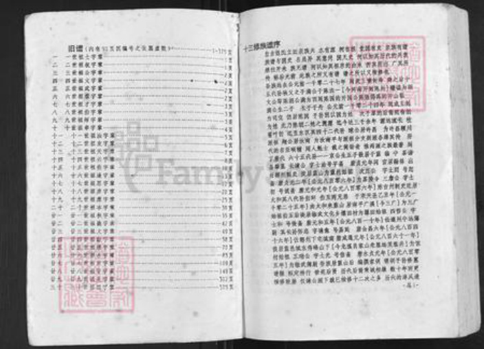 湖南省永州市蓝山县塔峰镇陈氏族谱-陈氏族谱.pdf电子版插图2