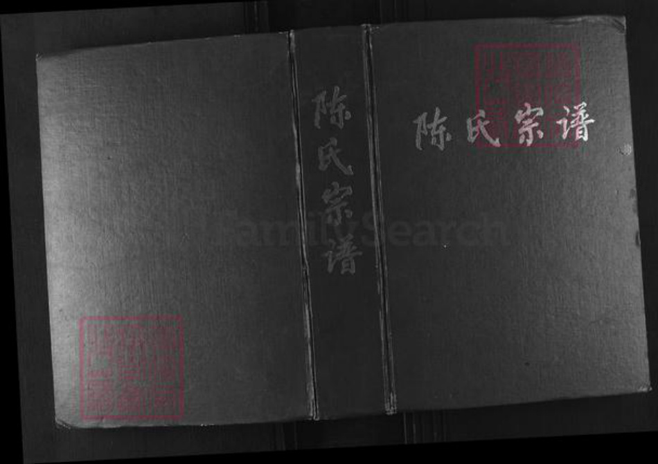江苏省盐城市滨海县正红镇陈氏颍川堂族谱-陈氏宗谱.pdf电子版插图