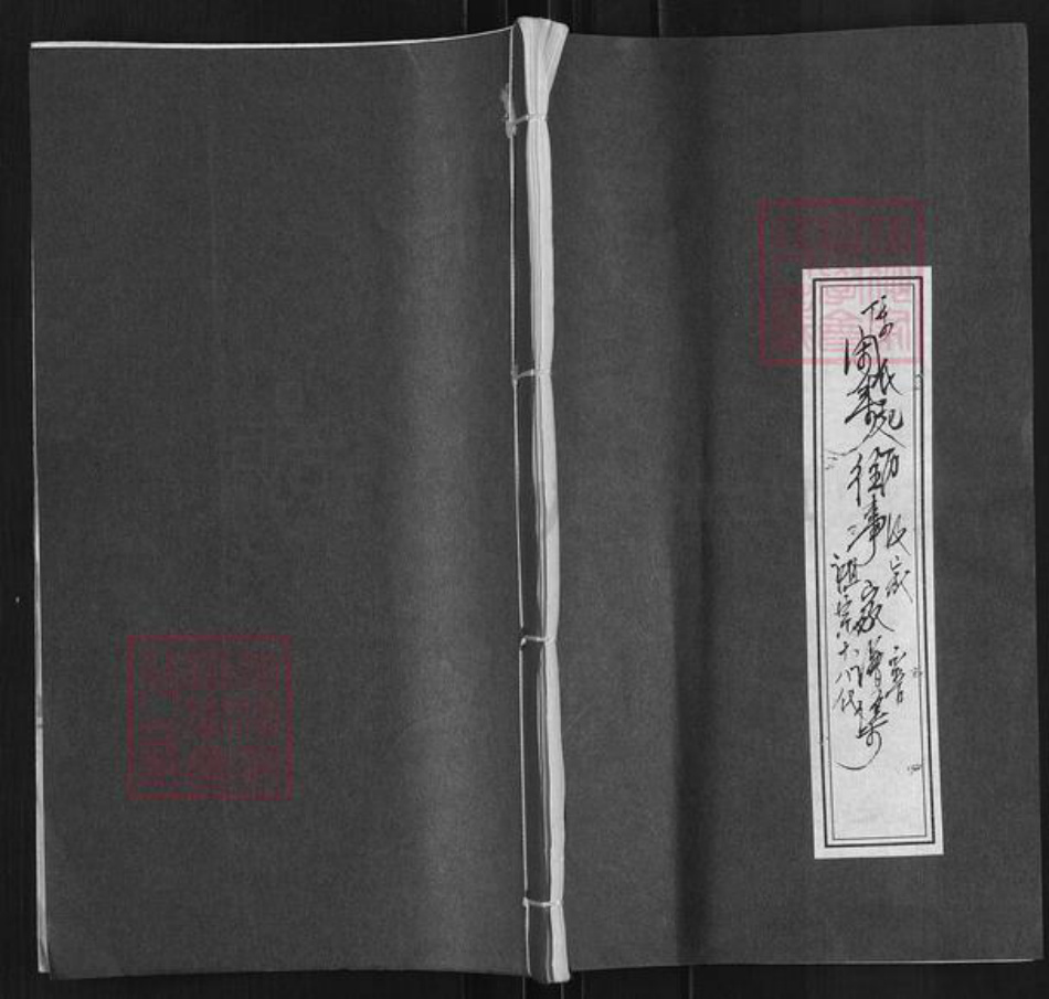 江苏省盐城市亭湖区陈氏族谱-闲来往事家谱集.pdf电子版插图
