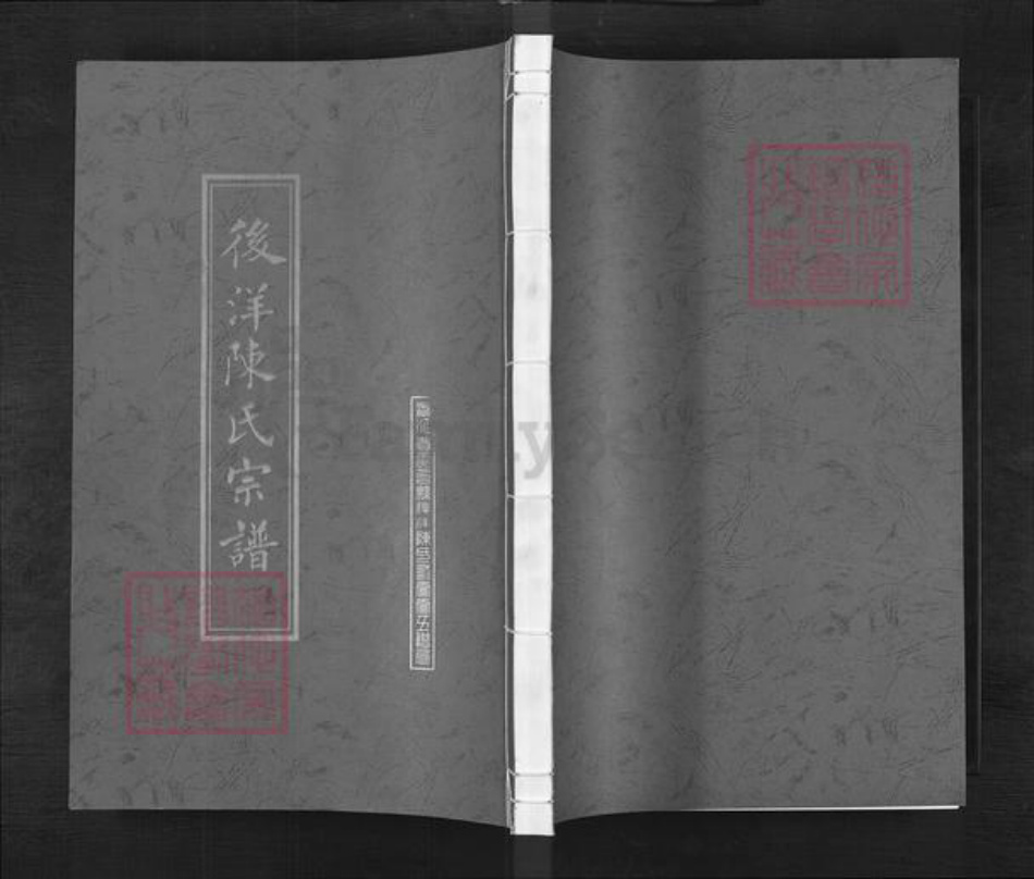 浙江省台州市天台县陈氏族谱-浙江天台后洋陈氏宗谱.pdf电子版插图