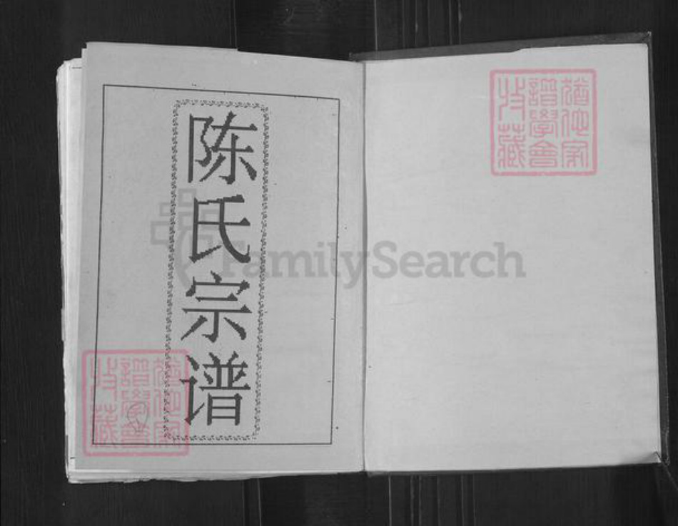 湖南省衡阳市祁东县陈氏官部堂族谱-陈氏五修宗谱.pdf电子版插图1