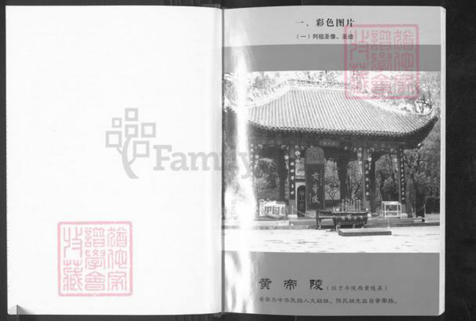 福建省泉州市永春县介福乡陈氏族谱-七修桃源鸣琴陈氏族谱.pdf电子版插图4