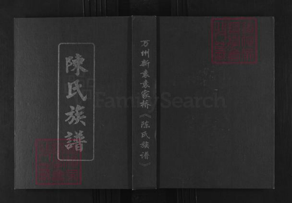 重庆市万州陈氏颍川堂族谱-陈氏族谱.pdf电子版插图