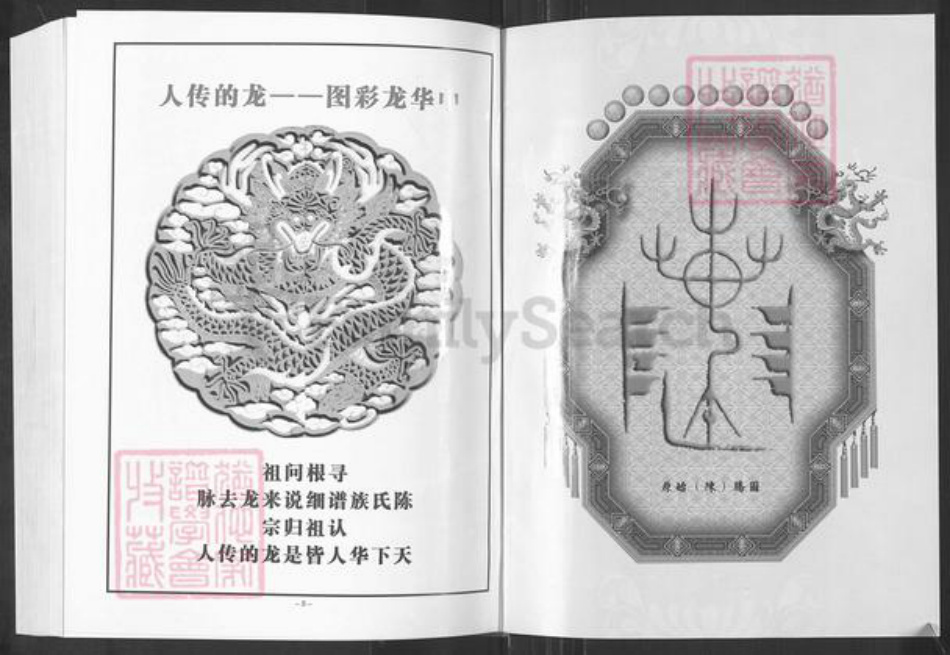 重庆市万州陈氏颍川堂族谱-陈氏族谱.pdf电子版插图2