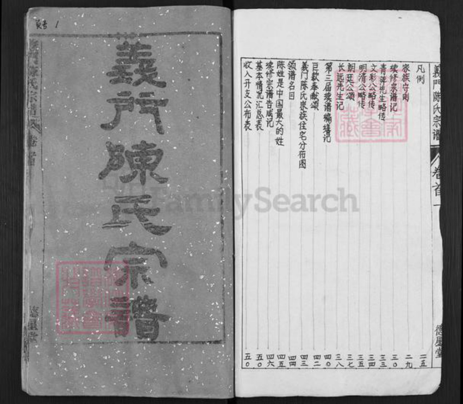 湖北省武汉市新洲区陈氏德星堂族谱-义门陈氏宗谱.pdf电子版插图2