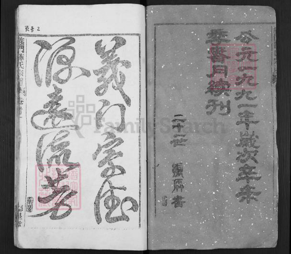 湖北省武汉市新洲区陈氏德星堂族谱-义门陈氏宗谱.pdf电子版插图3