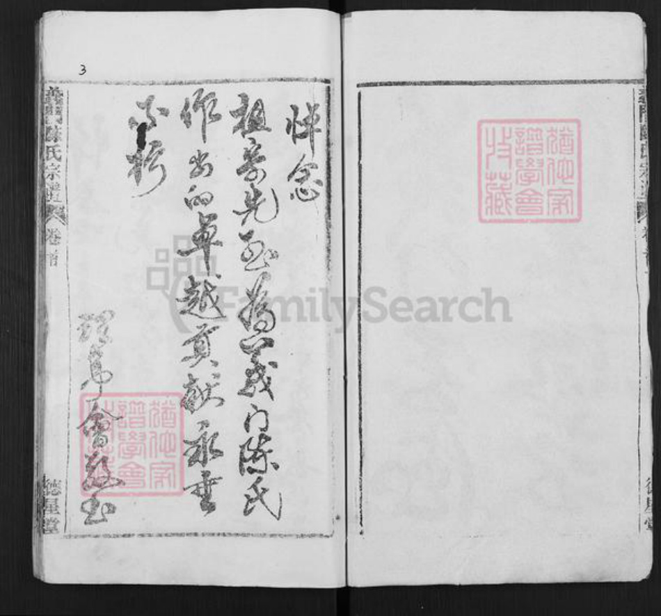 湖北省武汉市新洲区陈氏德星堂族谱-义门陈氏宗谱.pdf电子版插图4
