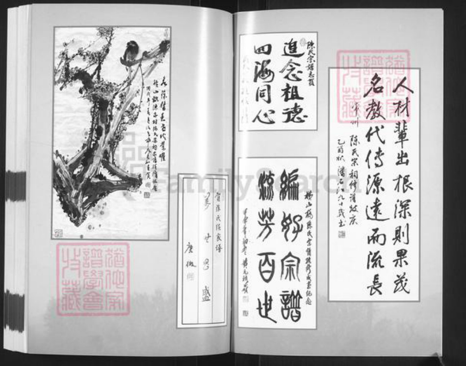 江苏省常州市武进县陈氏余庆堂族谱-陈氏宗谱.pdf电子版插图2