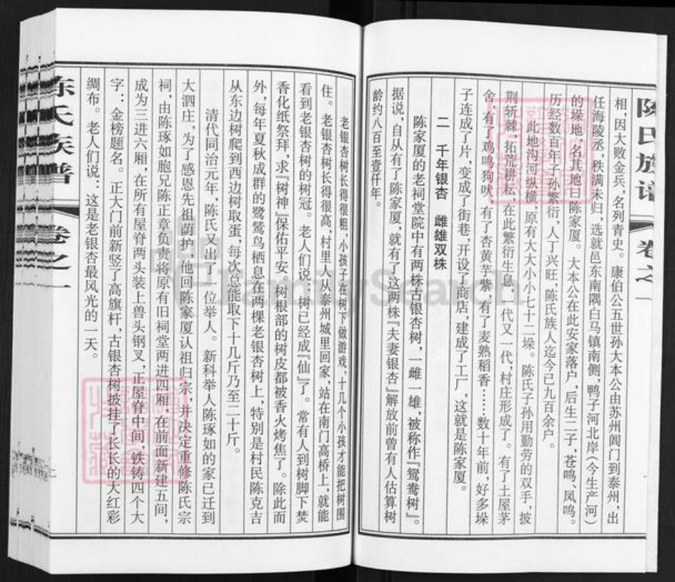 江苏省泰州市泰兴市高港陈氏敦伦堂族谱-陈氏族谱.pdf电子版插图3