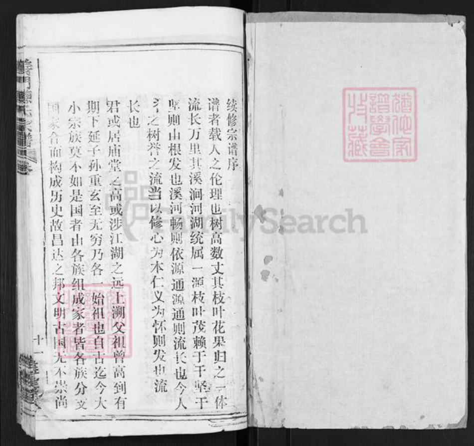 江西省九江市德安县车桥镇陈氏旌义堂族谱-义门陈氏宗谱.pdf电子版插图1