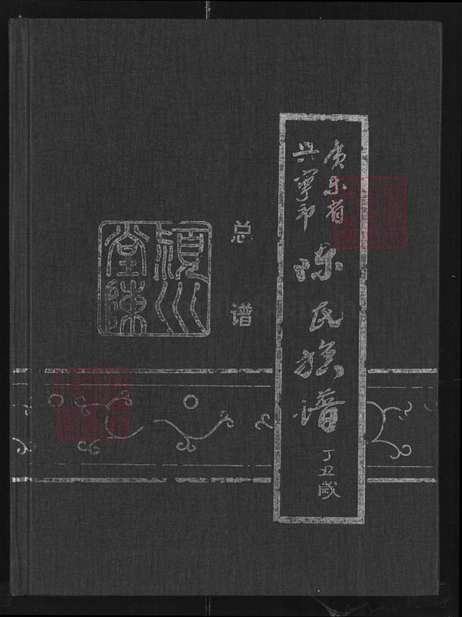 广东省梅州市兴宁市坭陂镇陈氏颖川堂族谱-陈氏族谱.pdf电子版插图