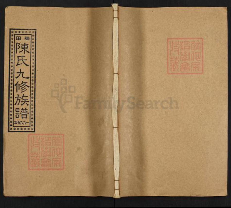 湖南省邵阳市隆回县鸭田镇陈氏族谱-鸦田陈氏九修族谱.pdf电子版插图