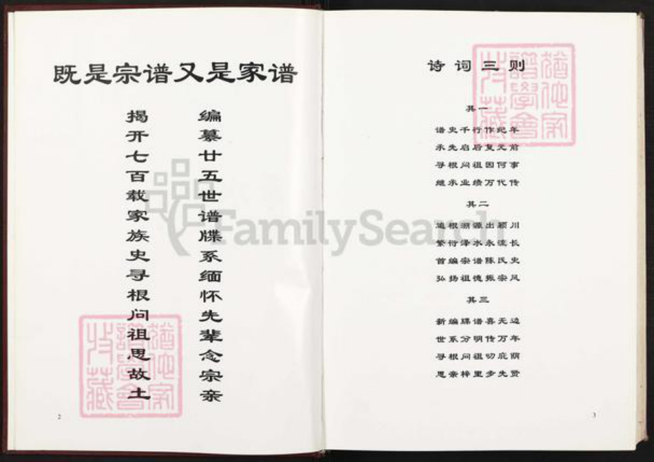福建省福州市福清市江阴镇陈氏族谱-玉融玉屿泽水陈氏宗谱.pdf电子版插图1