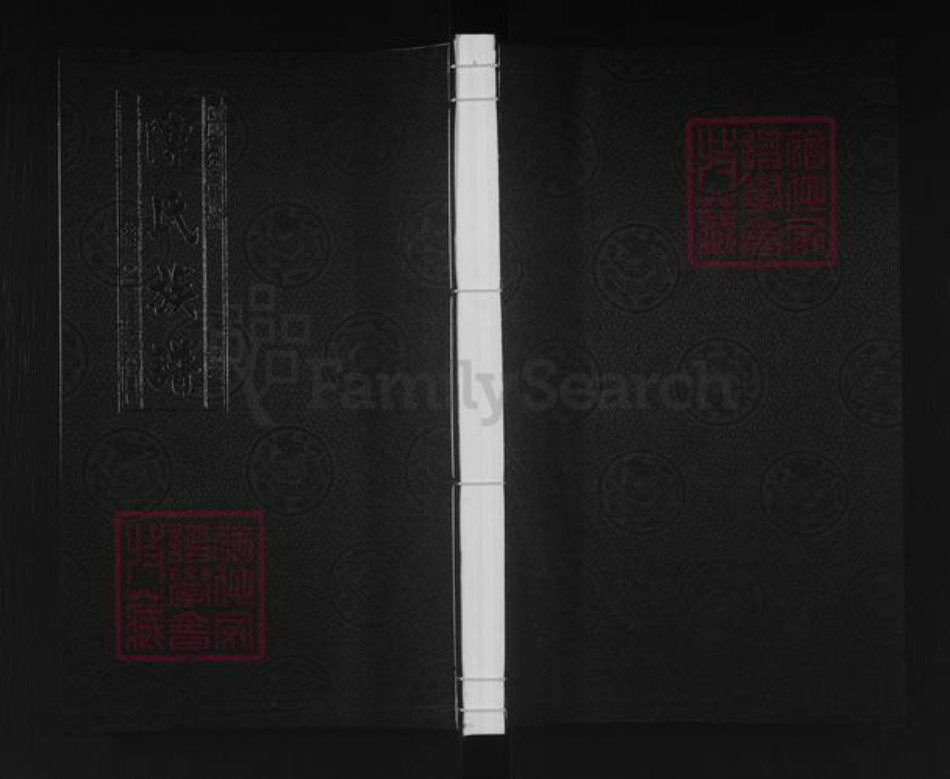 江苏省泰州市泰兴市高港陈氏敦伦堂族谱-陈氏族谱.pdf电子版插图