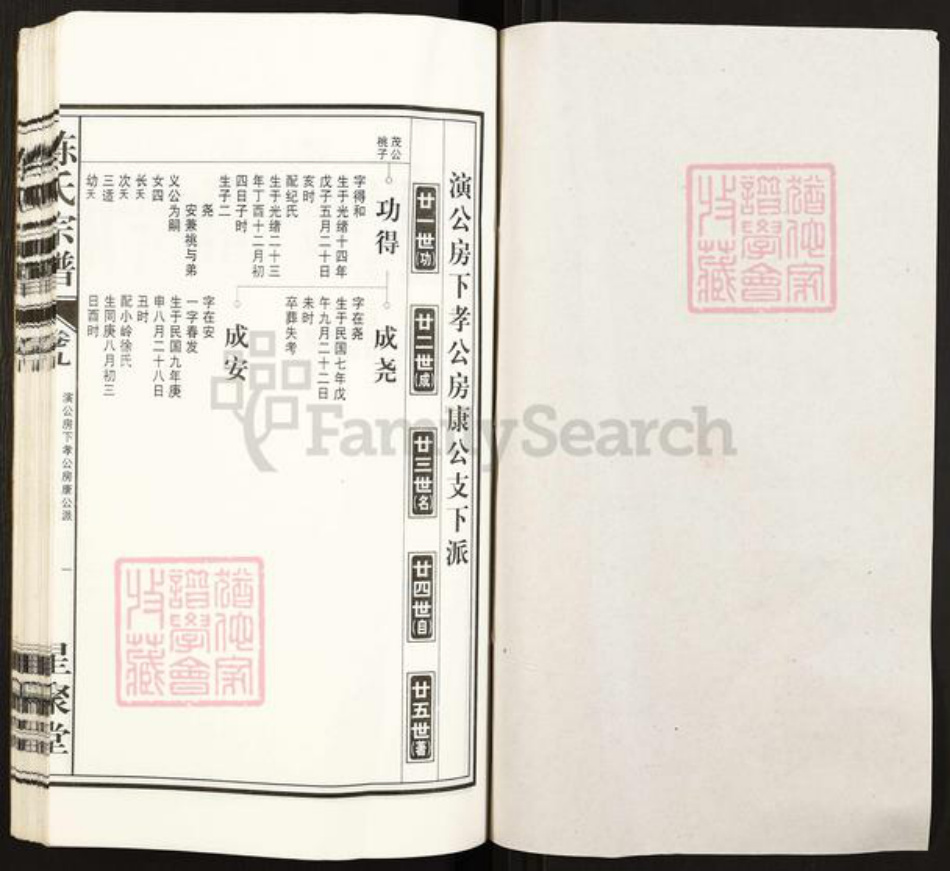 安徽省铜陵市枞阳县白梅乡陈氏星聚堂族谱-陈氏宗谱.白云股.pdf电子版插图1
