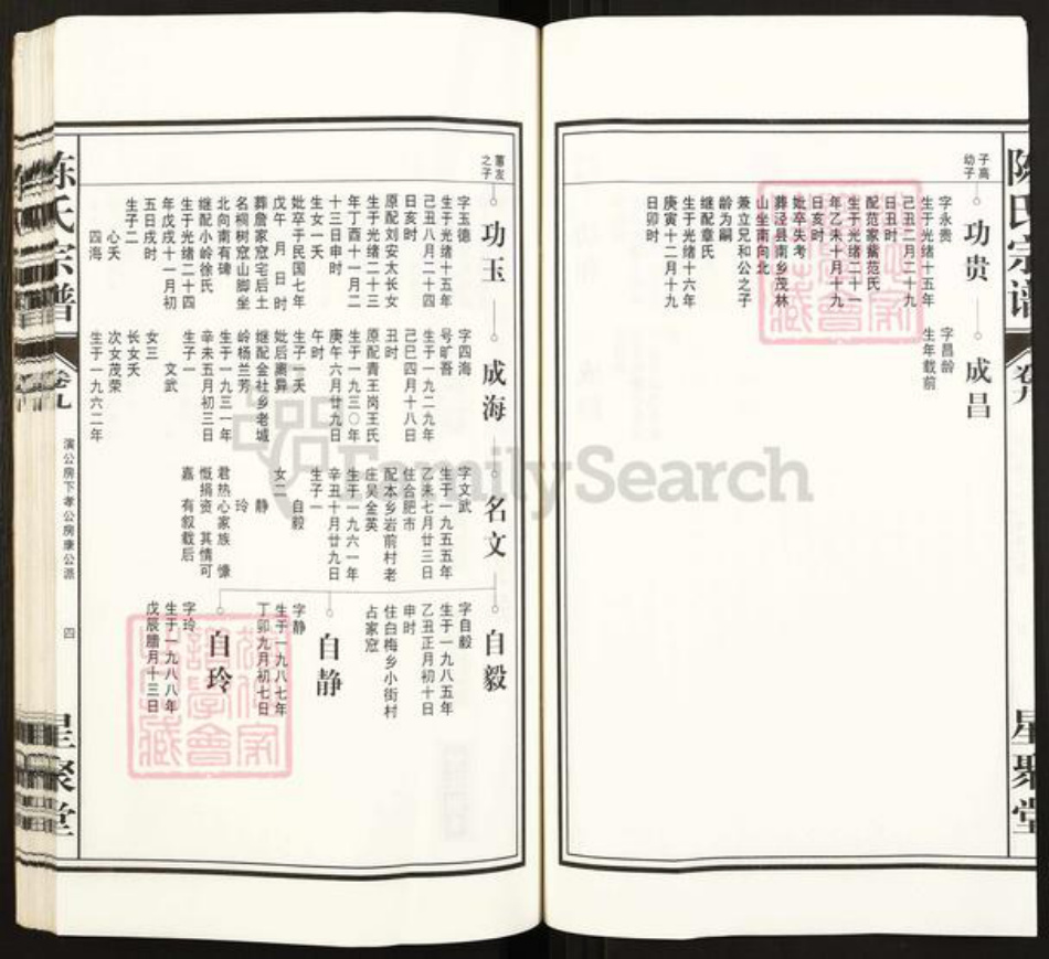 安徽省铜陵市枞阳县白梅乡陈氏星聚堂族谱-陈氏宗谱.白云股.pdf电子版插图4