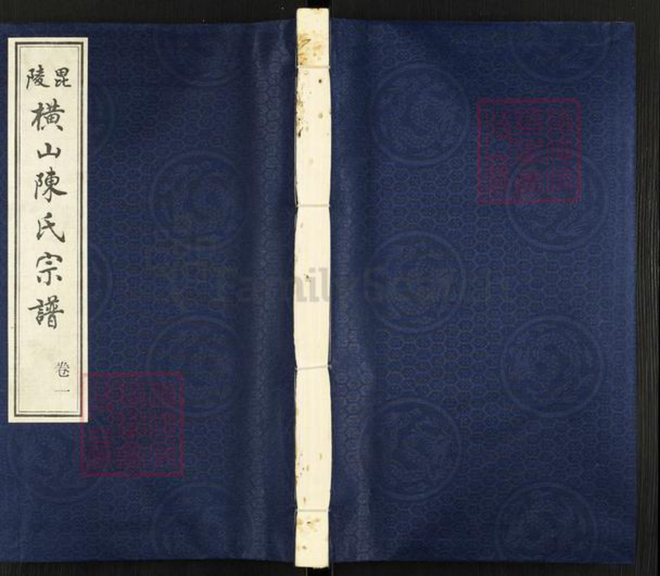 江苏省常州市武进县陈氏星聚堂族谱-毘陵横山陈氏宗谱.pdf电子版插图